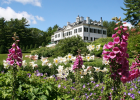 The Mount with lillies and foxglove - Photograph by David Dashiell